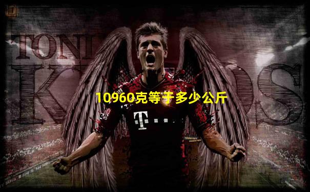 10960克等于多少公斤