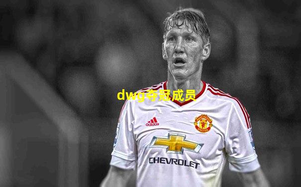dwg夺冠成员