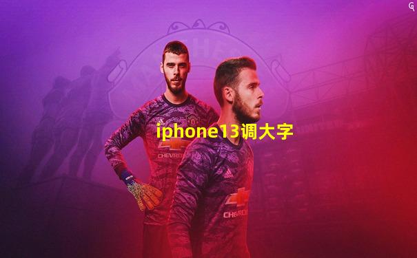 iphone13调大字