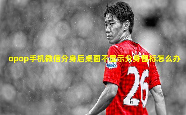 opop手机微信分身后桌面不显示分身图标怎么办