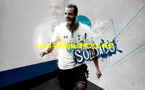 oppo手机相机像素怎么调低