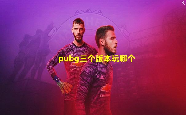pubg三个版本玩哪个