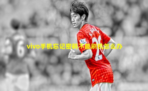 vivo手机忘记密码不能刷机怎么办