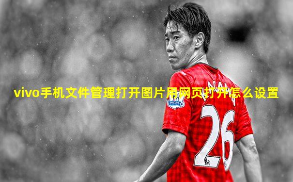 vivo手机文件管理打开图片用网页打开怎么设置