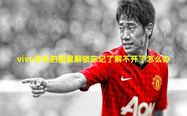 vivo手机的图案解锁忘记了解不开了怎么办