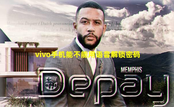 vivo手机能不能用语音解锁密码
