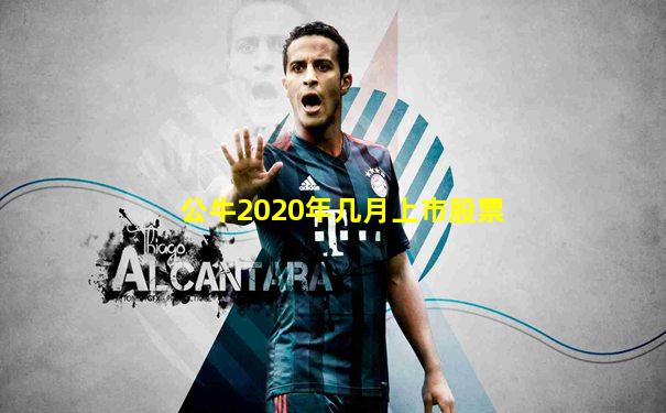 公牛2020年几月上市股票