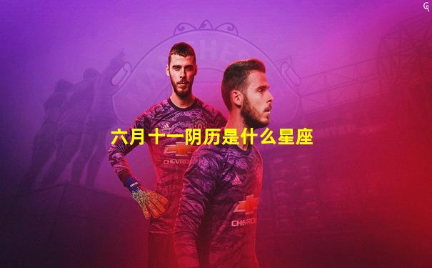 六月十一阴历是什么星座