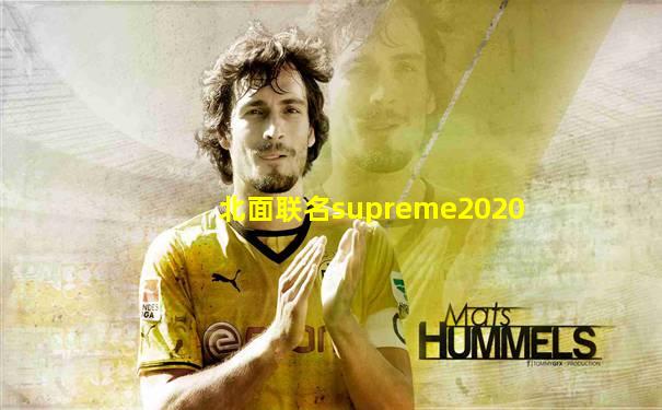北面联名supreme2020