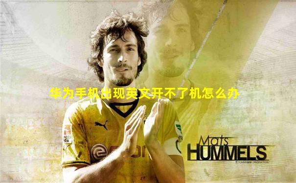 华为手机出现英文开不了机怎么办