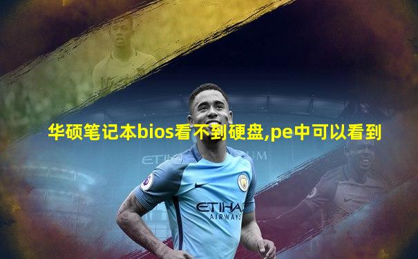 华硕笔记本bios看不到硬盘,pe中可以看到
