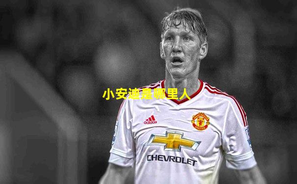 小安迪是哪里人