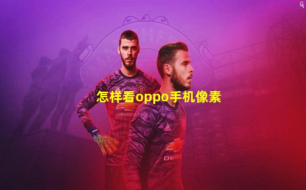 怎样看oppo手机像素