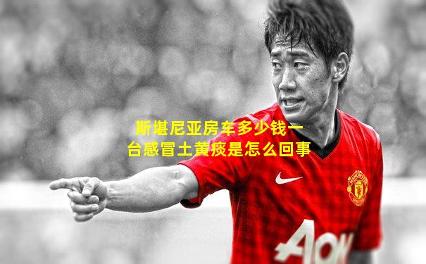 斯堪尼亚房车多少钱一台感冒土黄痰是怎么回事