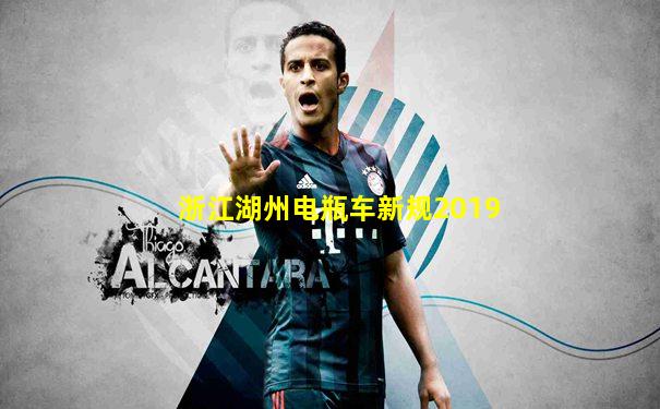 浙江湖州电瓶车新规2019