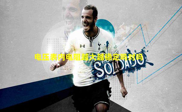 电压表内电阻越大越稳定吗对吗