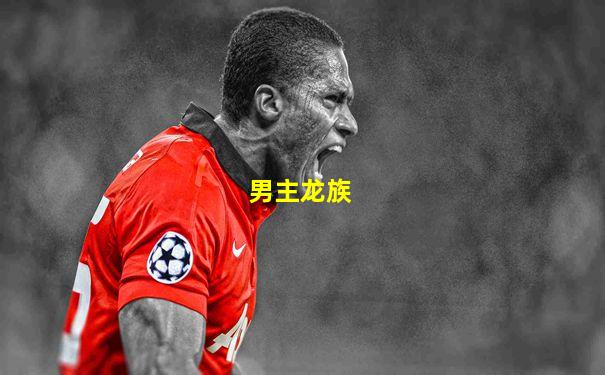 男主龙族