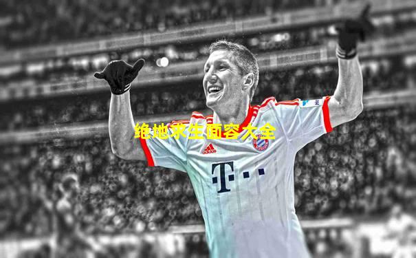 绝地求生面容大全